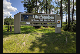 Okefenokee Pastimes Cabins, RV Park & Campground