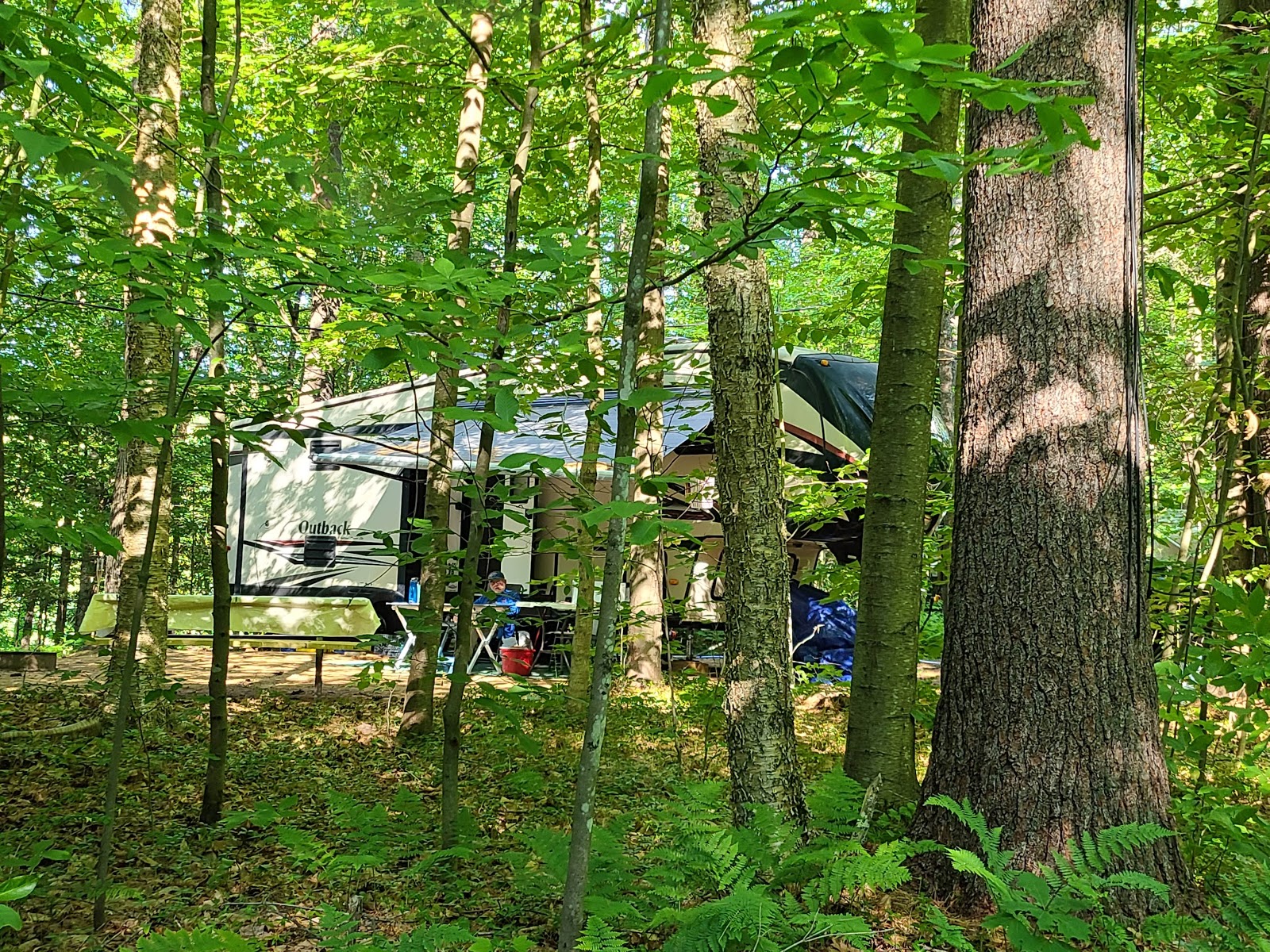 Tree Farm Campground