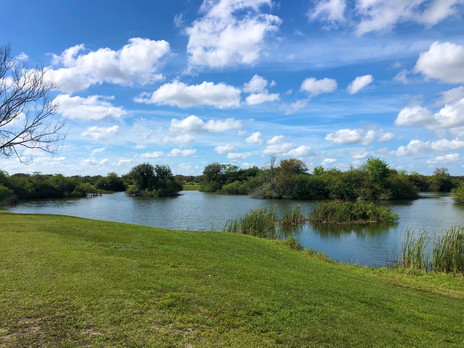 Saddle Creek Campground