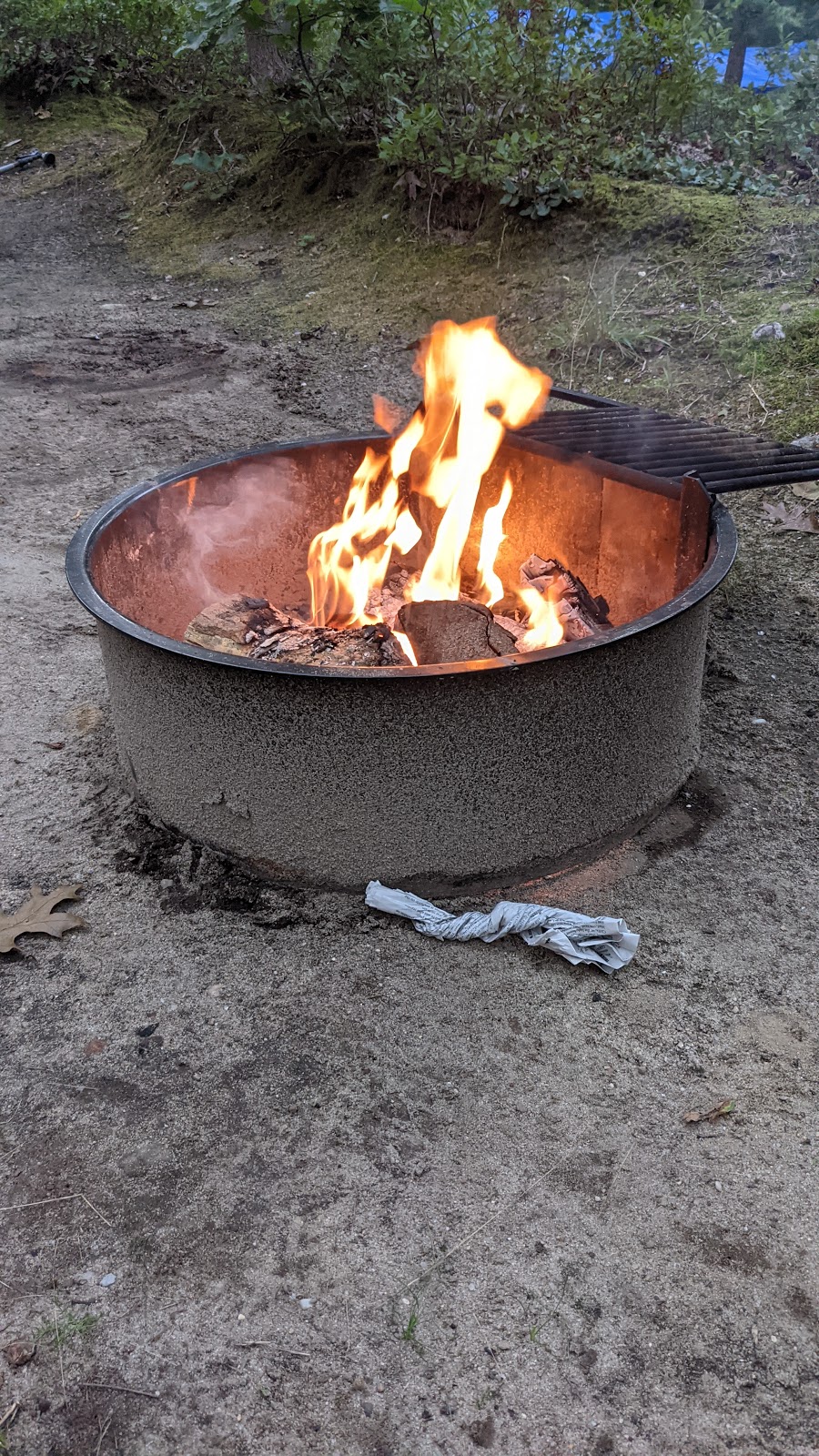 Martha's Vineyard Family Campground