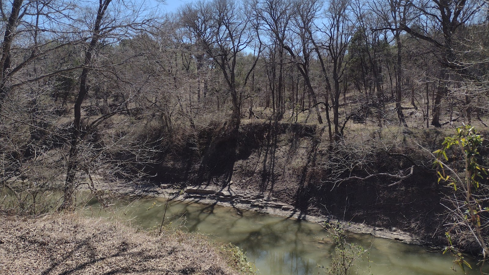 Faunt Leroy City Park