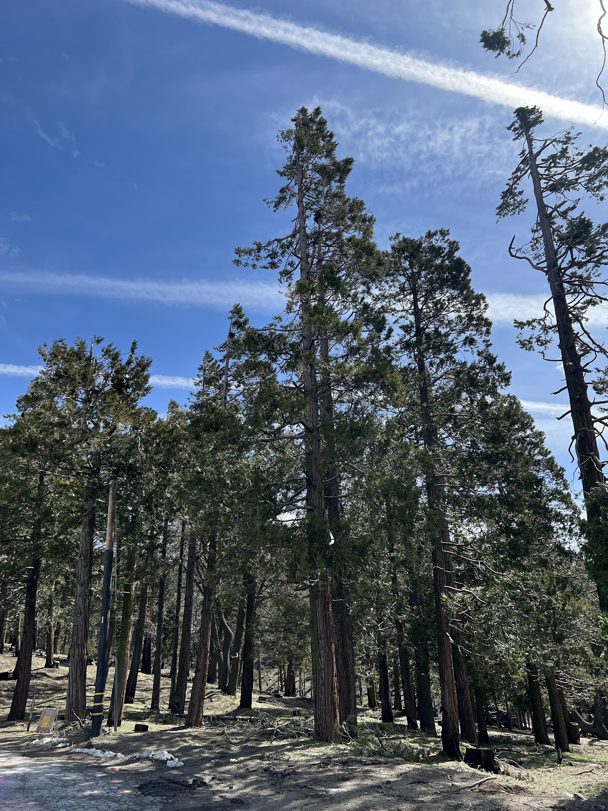 Greenhorn Mountain Park