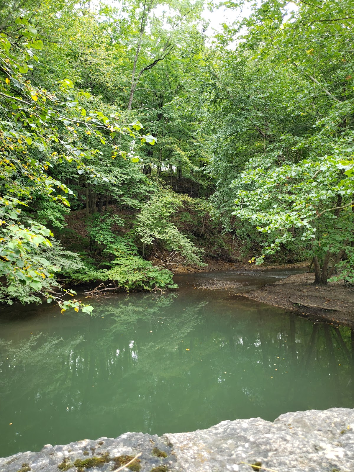 Seward Bluffs Forest Preserve