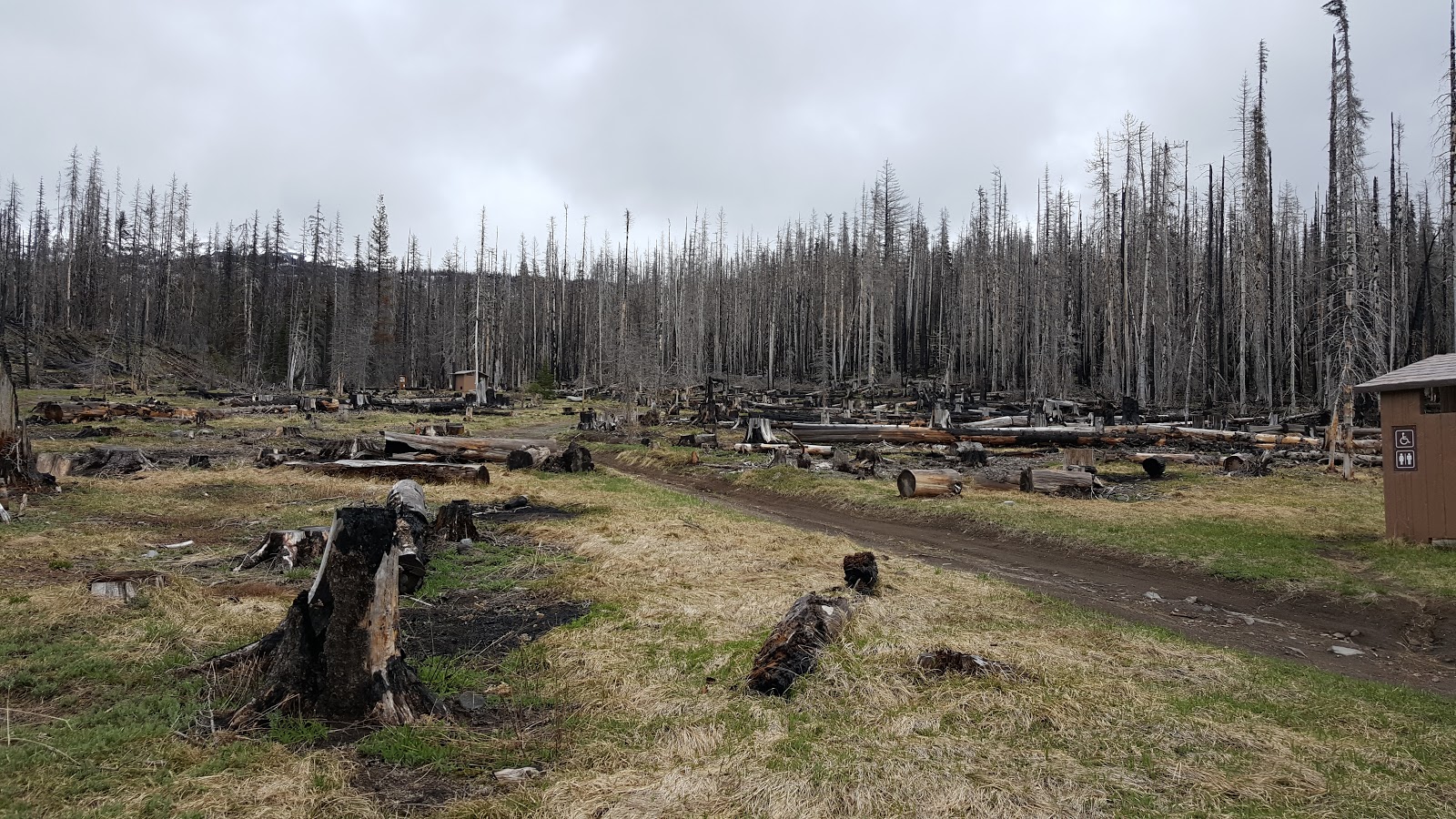 Morrison Creek Campground