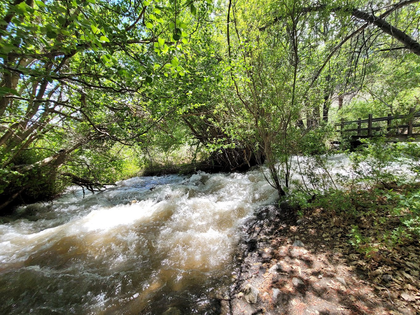 Grays Meadow Campground