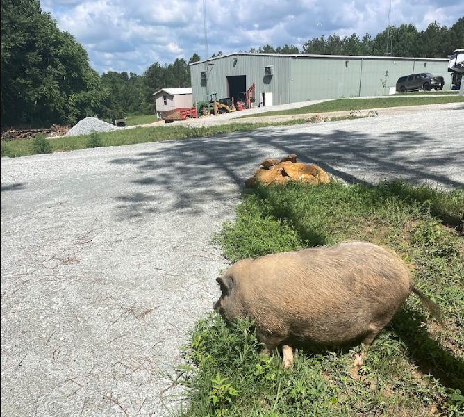 Country Livin RV Park