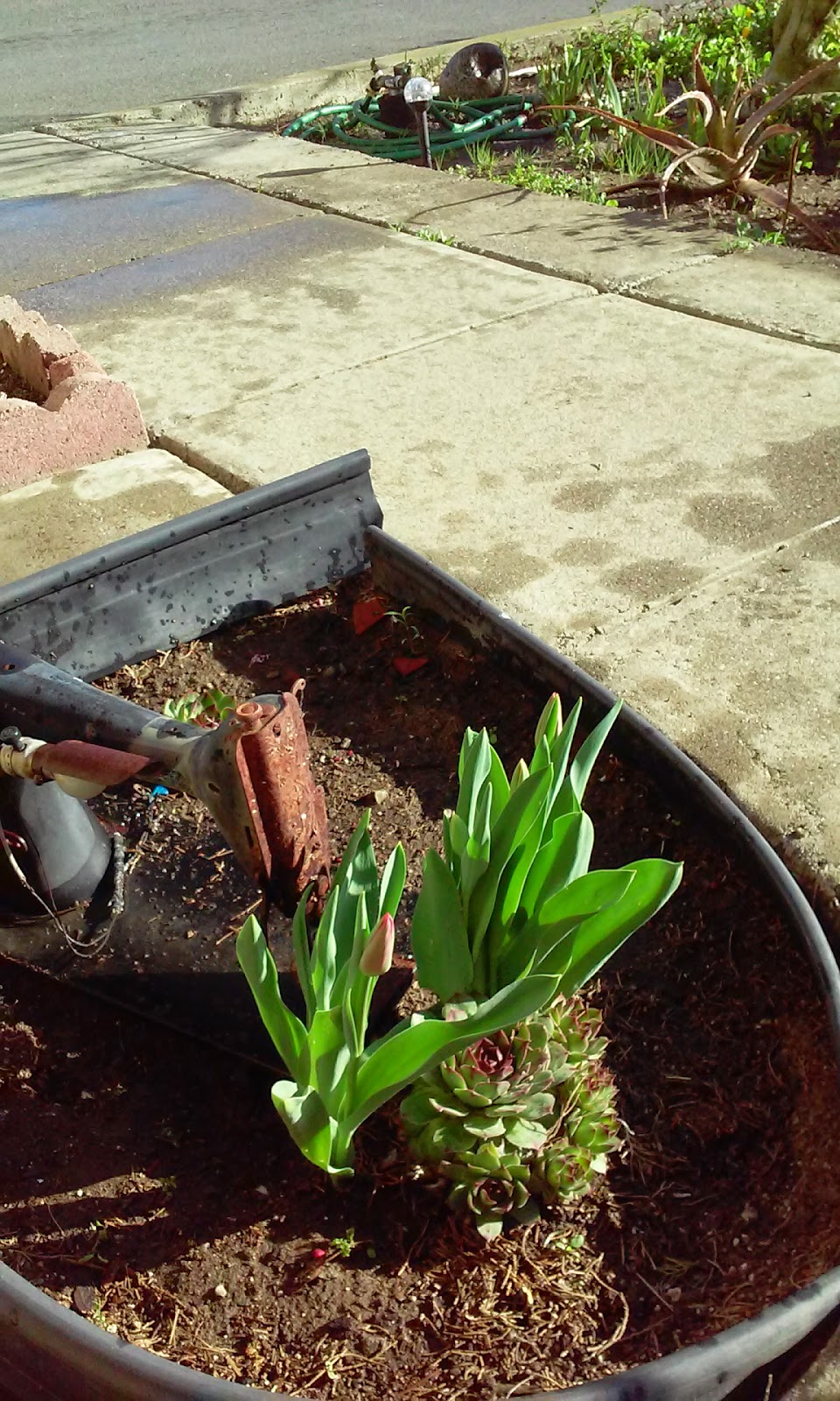 Almond Grove Mobile Home Park