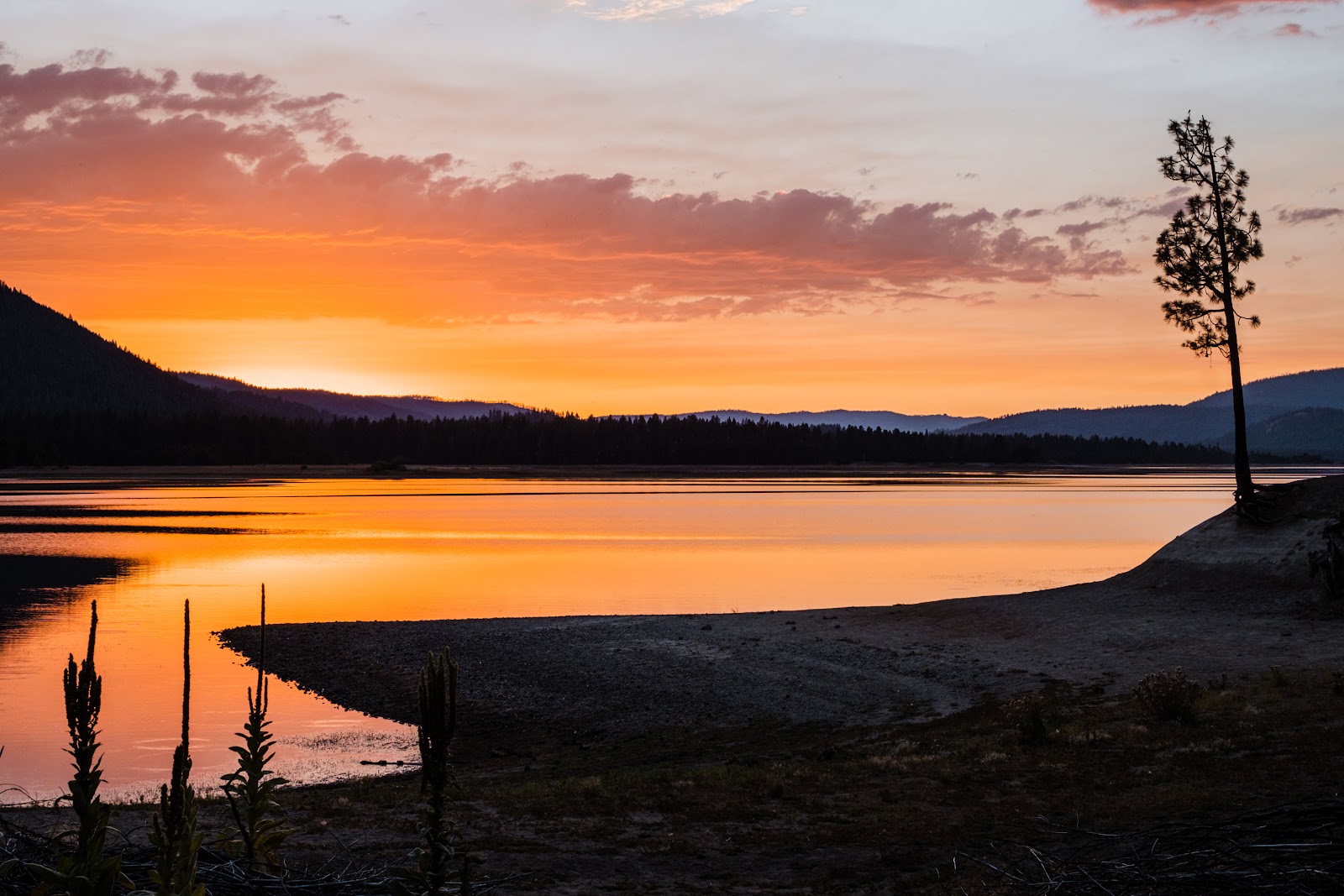 Grasshopper Flat Campground