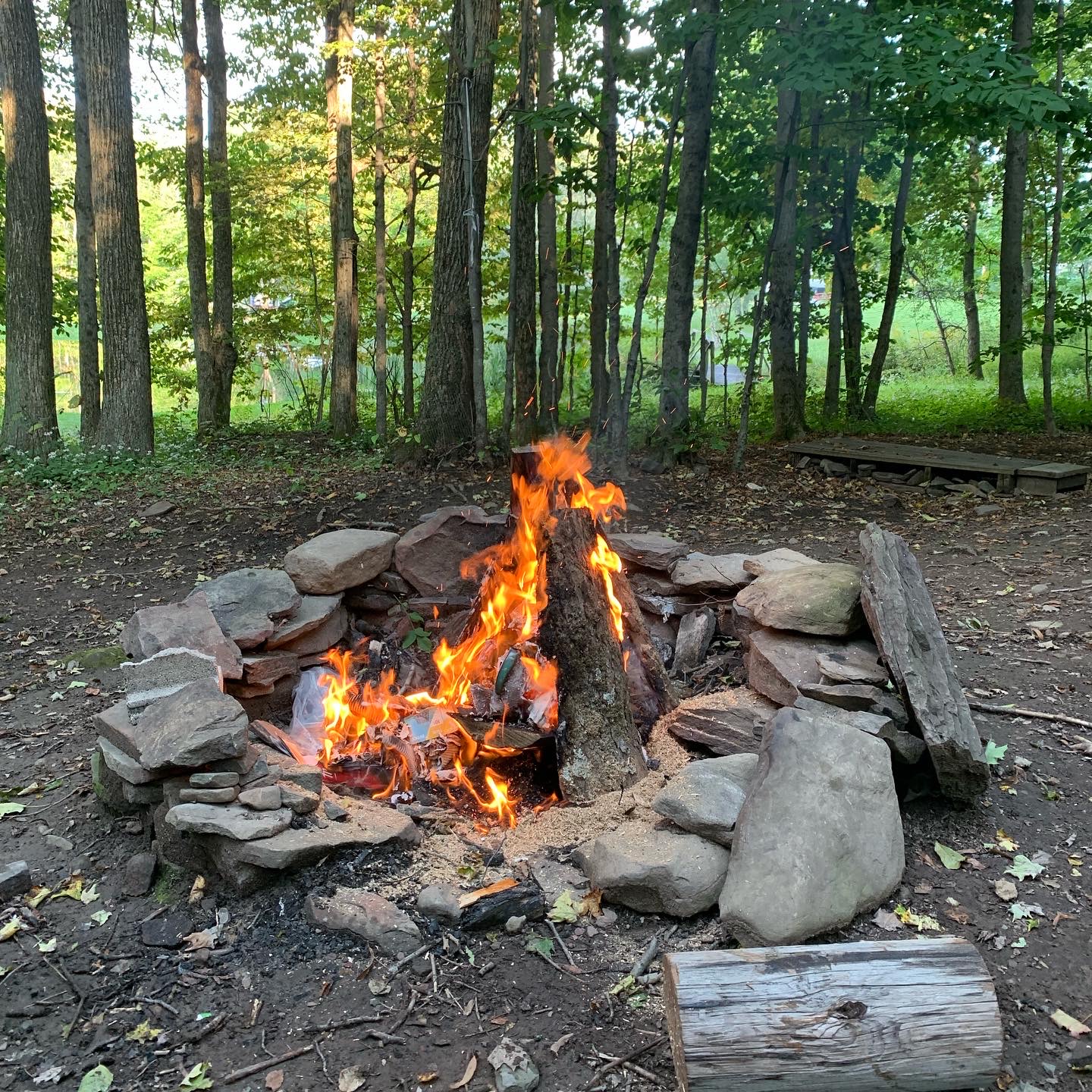 Valley View Farm and Campground