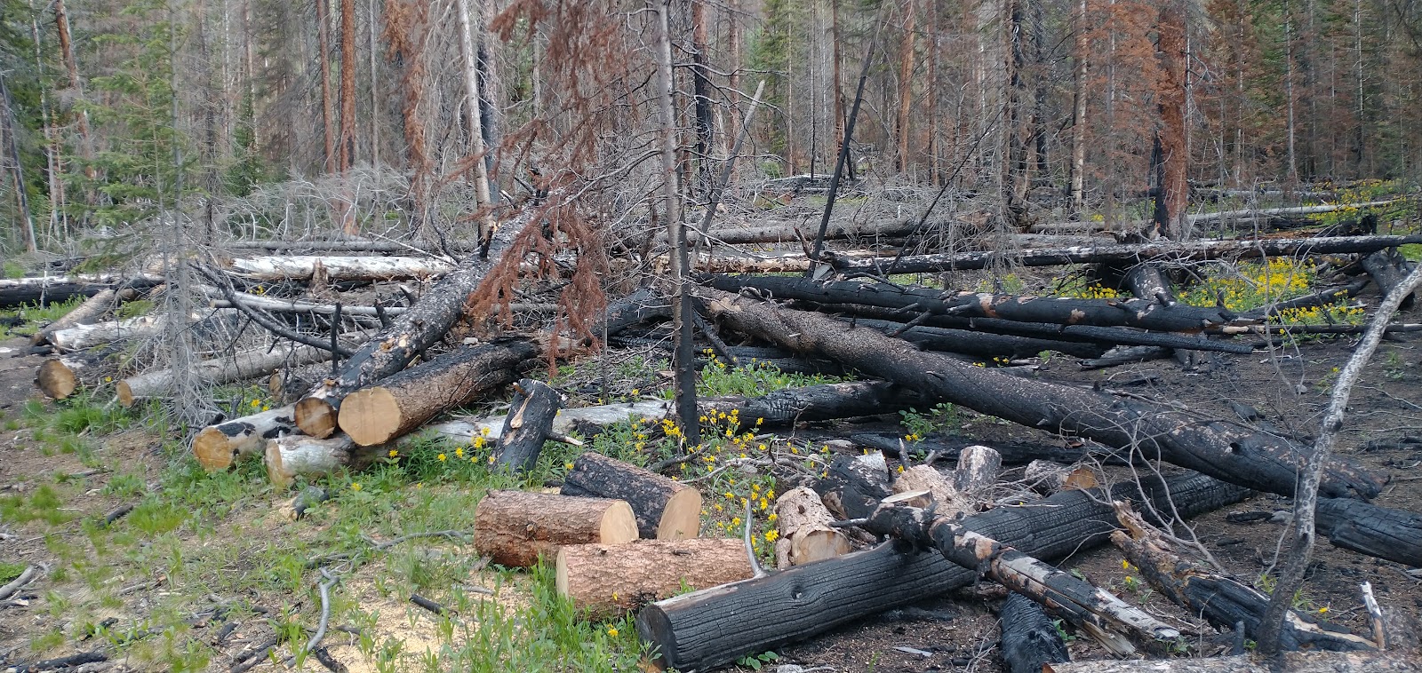 South Fork Campground