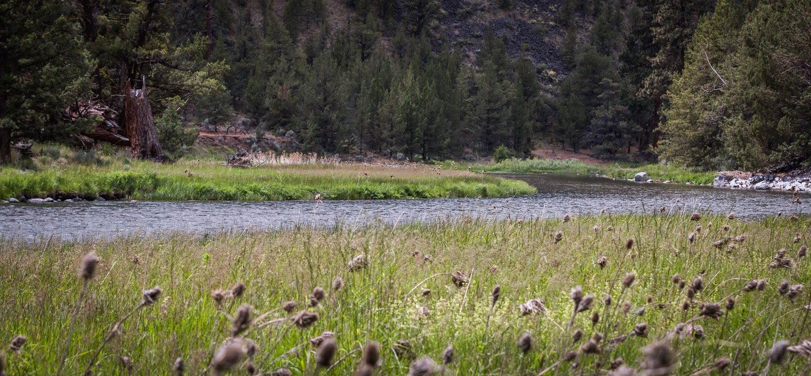 Lone Pine Crooked River Campground