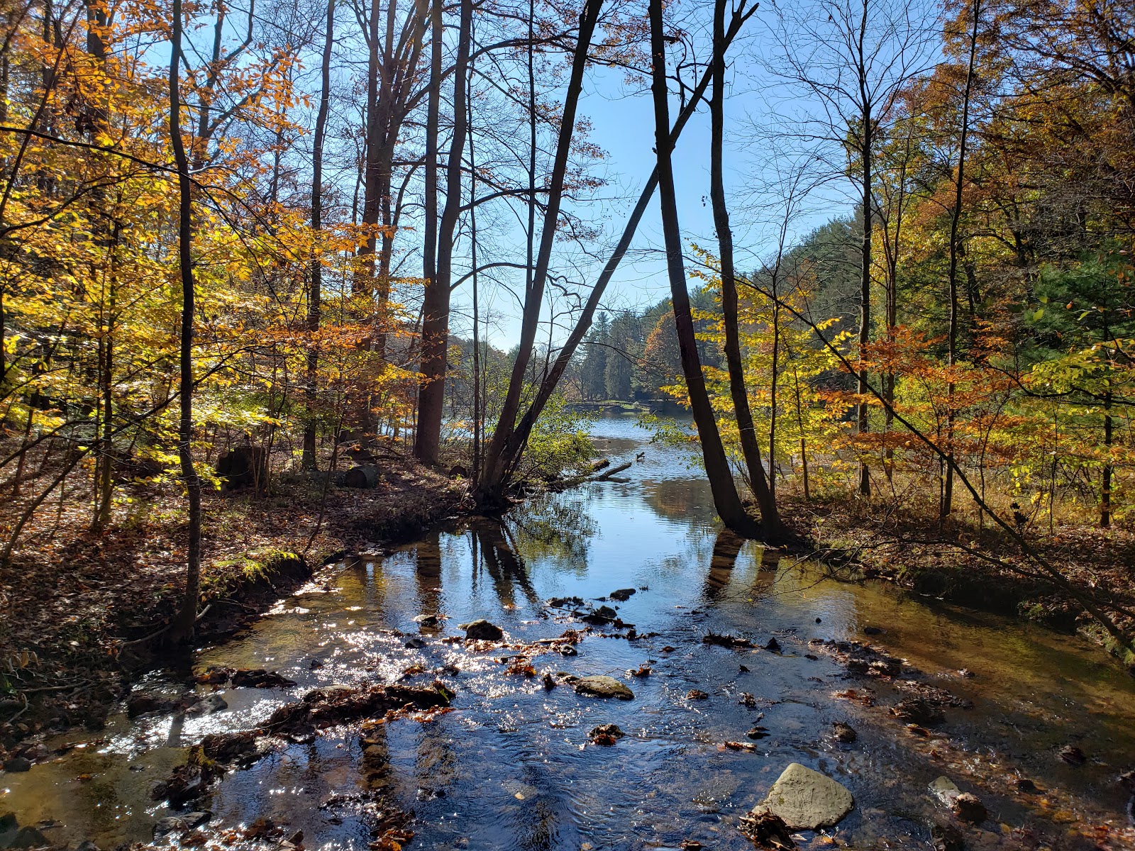 Colonel Denning State Park