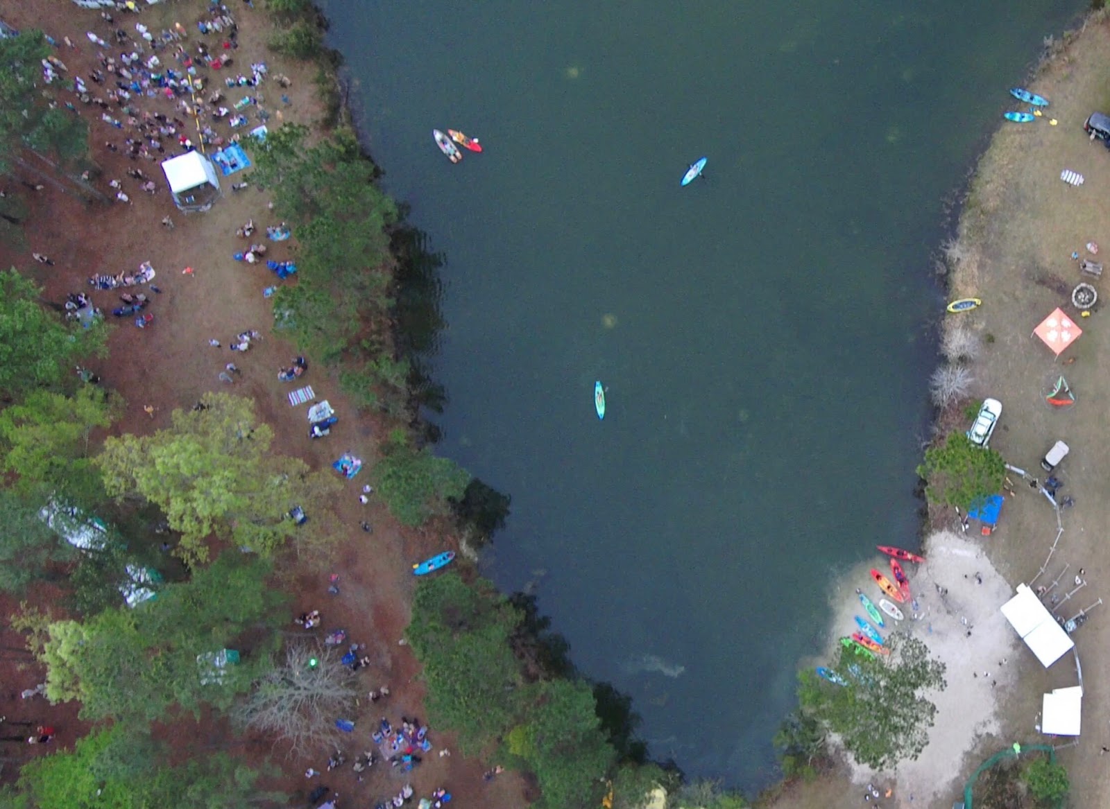 Charleston Woodlands