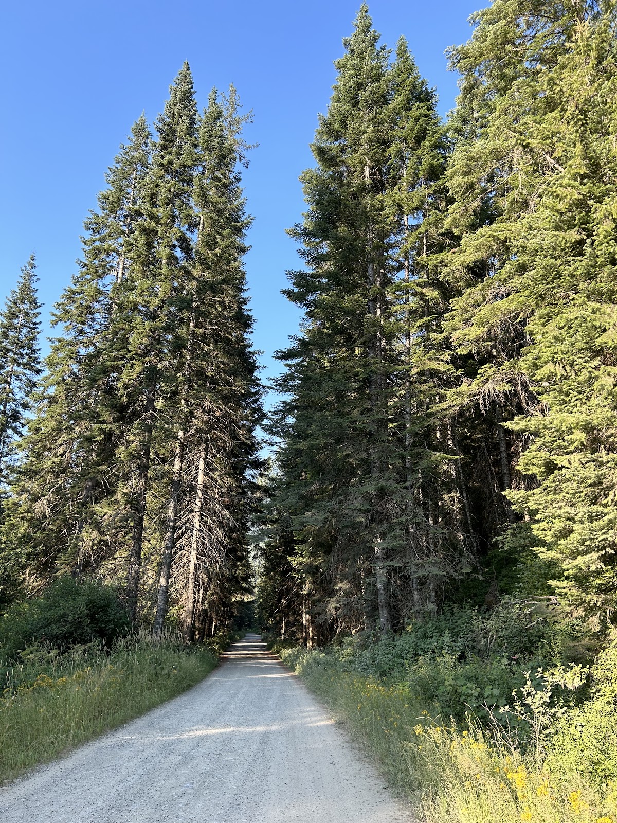 Bumblebee Campground