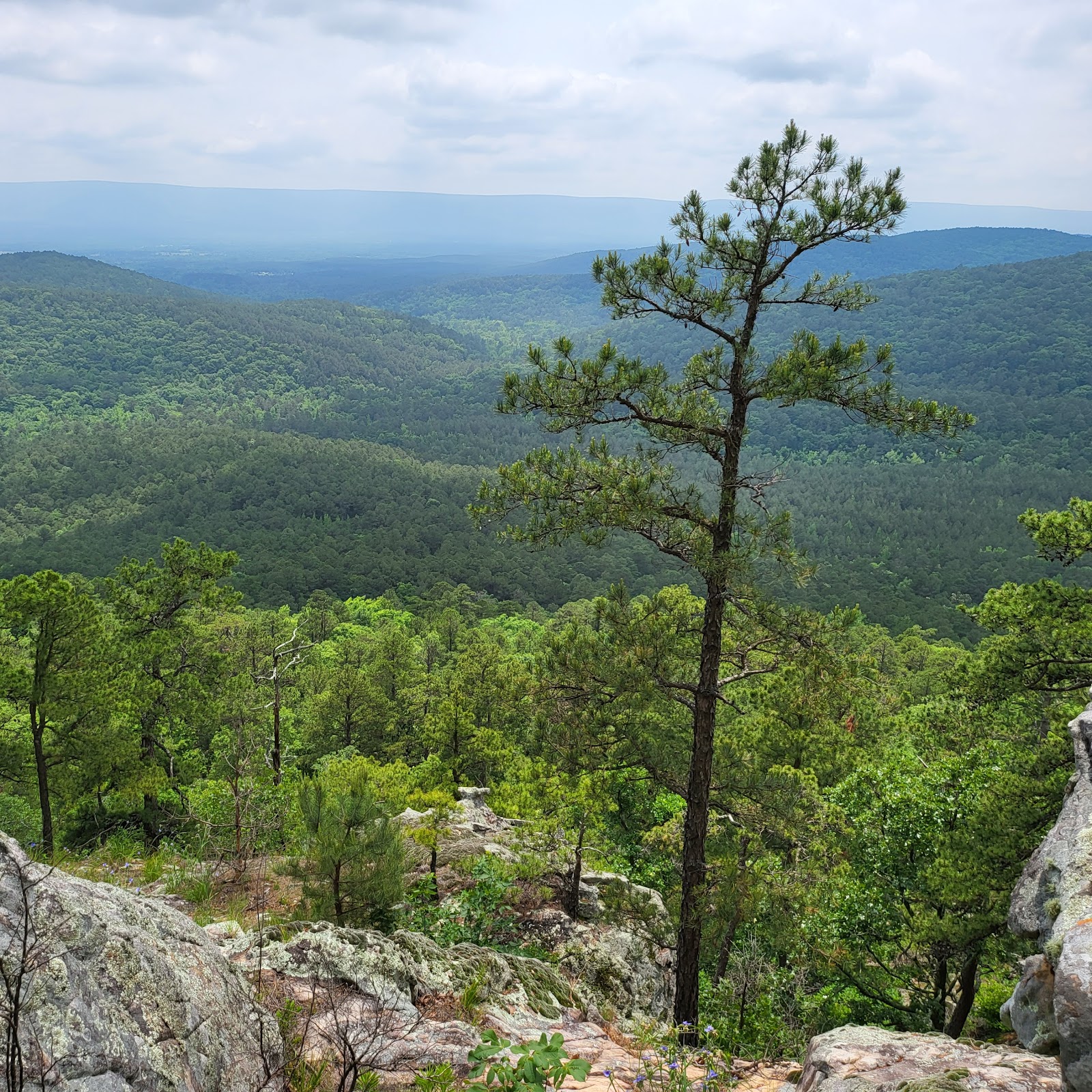 Billy Creek NF Campground