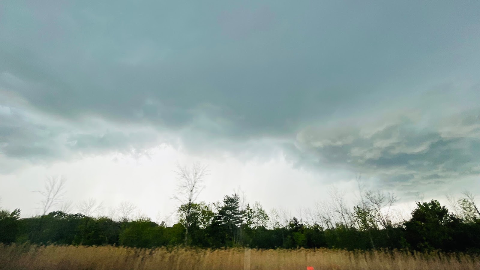 Lincoln Pond Adirondack Preserve