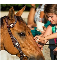 Derby Park Expo Five