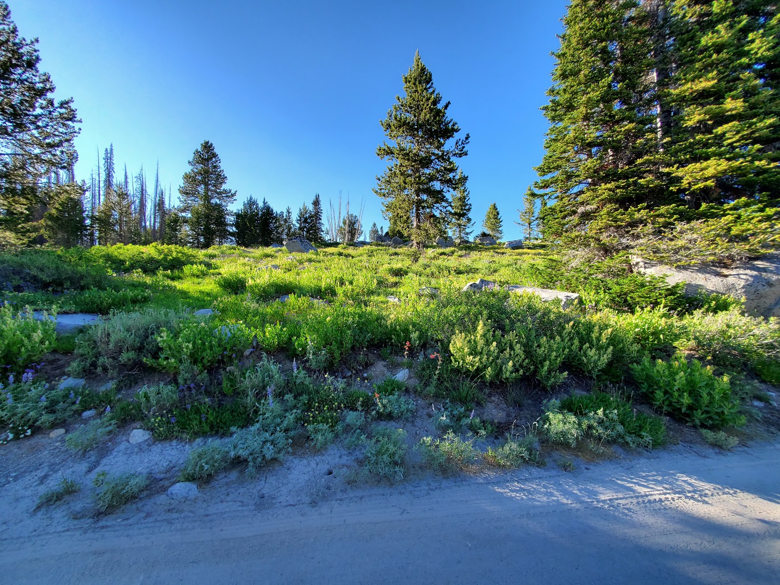 Big Trinity Lake Campground