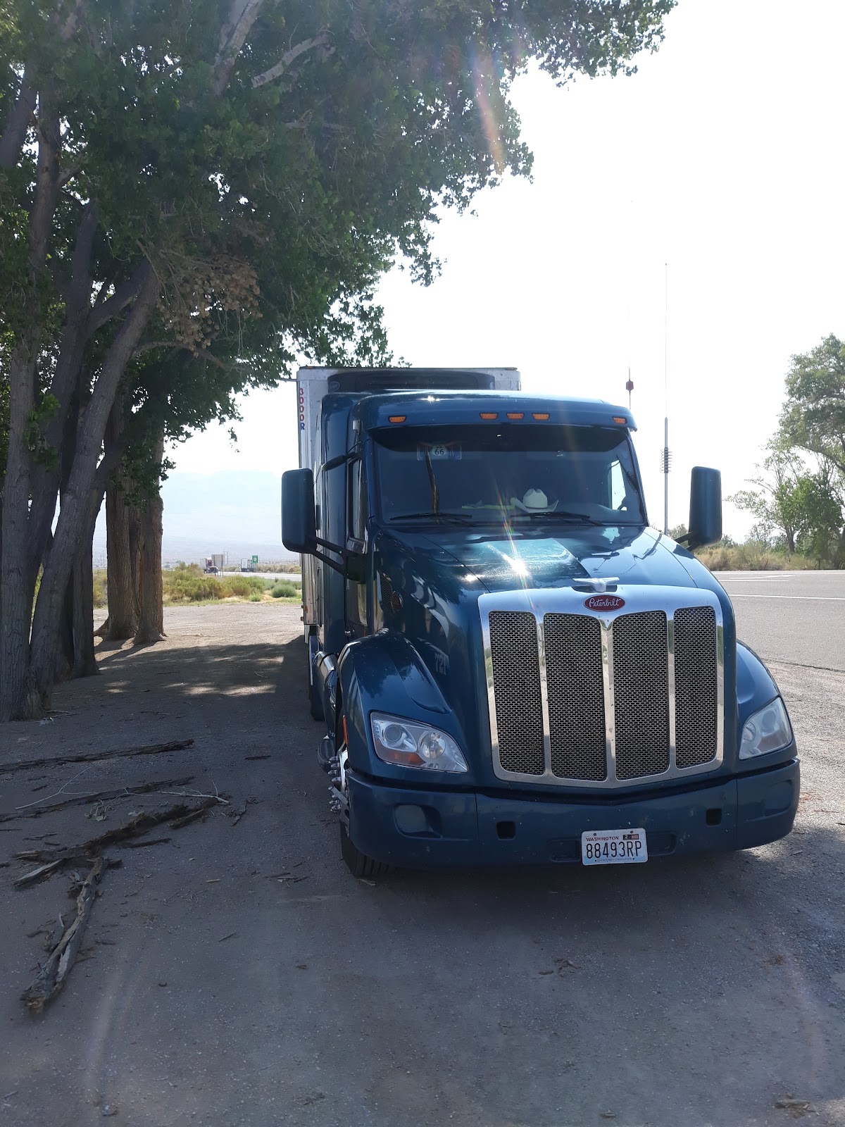 Crystal Springs Rest Area, Extraterrestrial Highway Sign