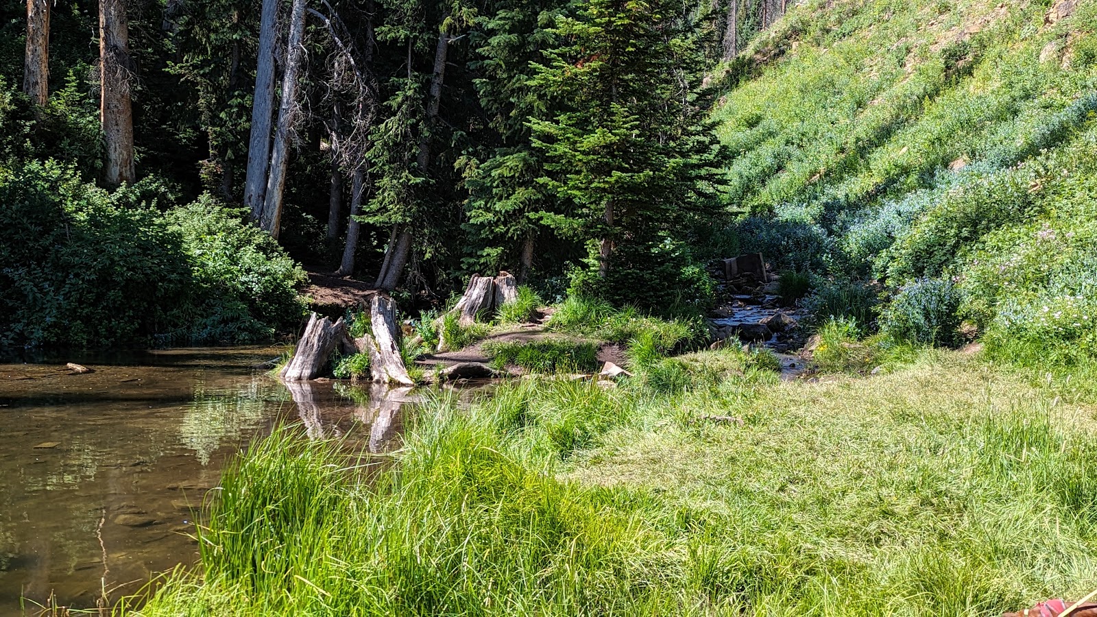 Mill Hollow Campground