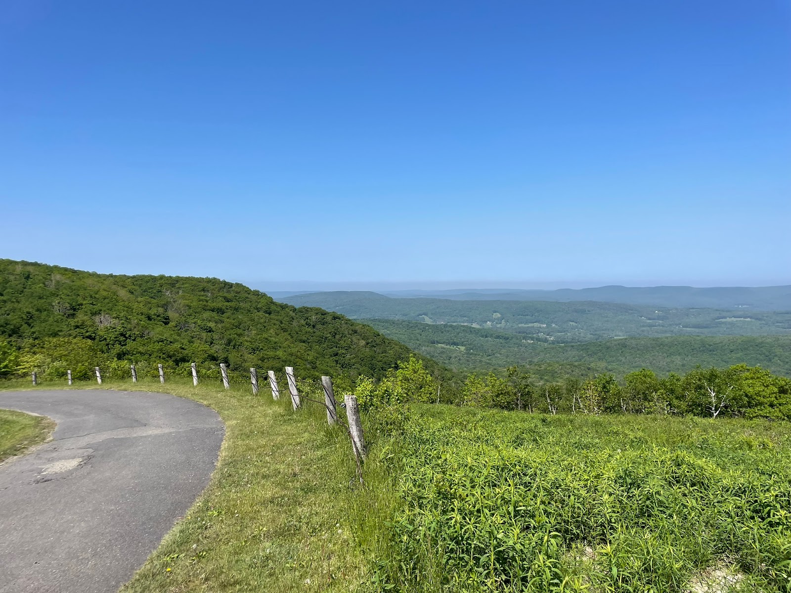 Berry Pond - Pittsfield State Forest