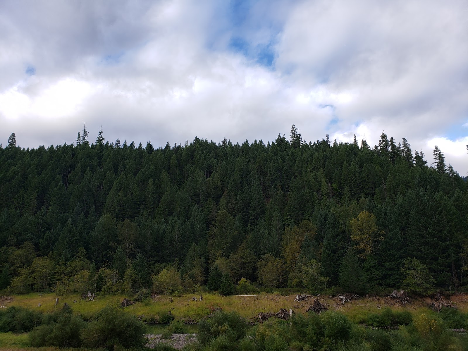 Sunnyside Campground