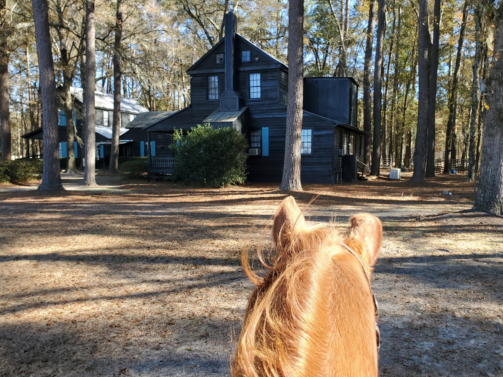 Broxton Bridge Plantation Camping