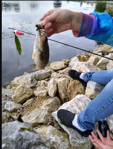 Union Grove State Park