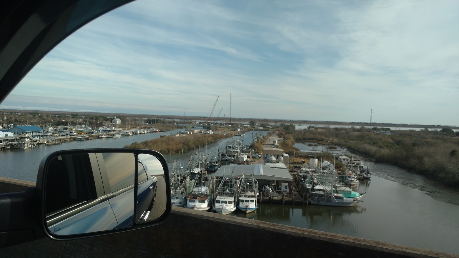 Yellow Cotton Bayside