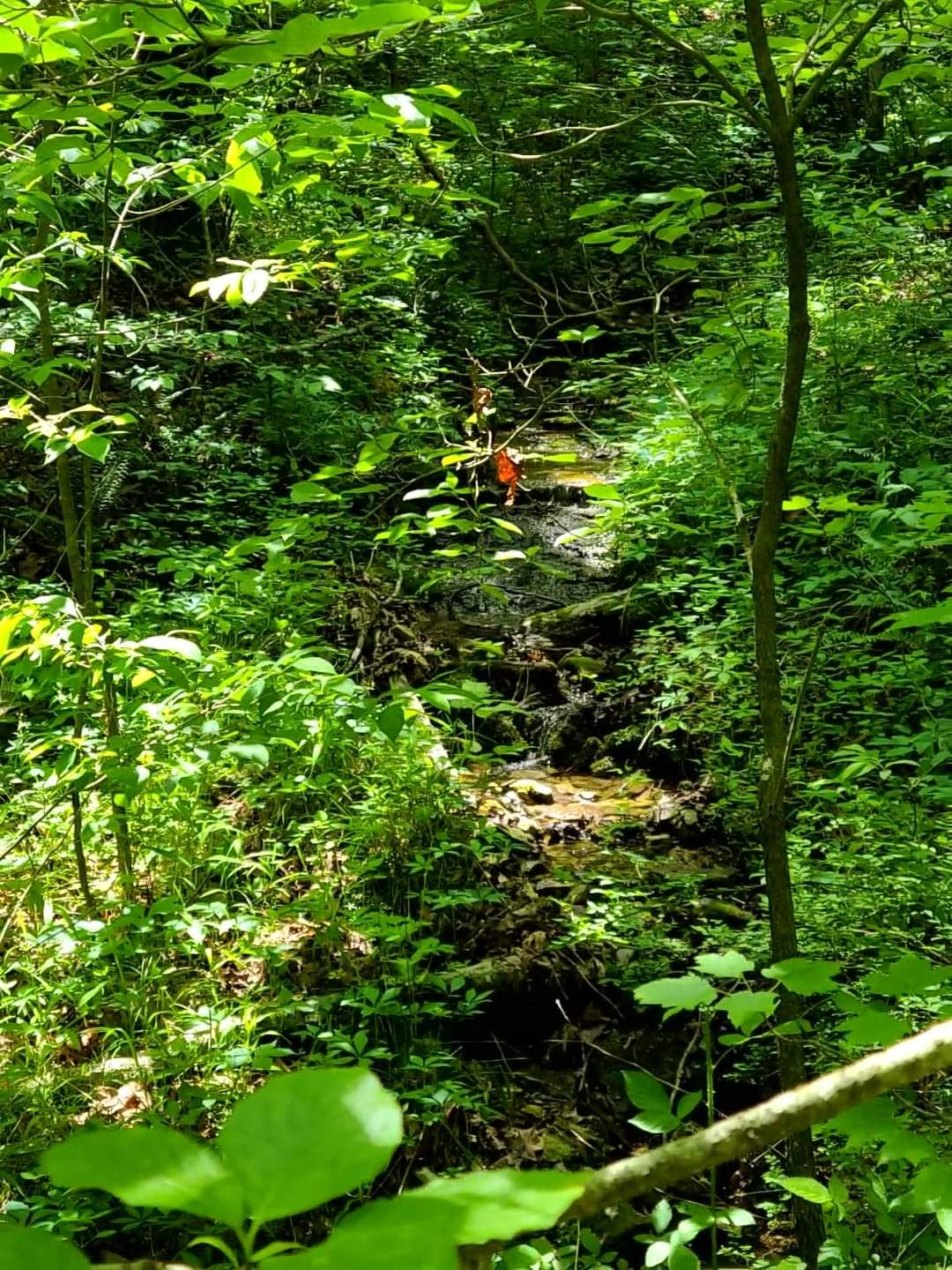 North Fork River Ranch