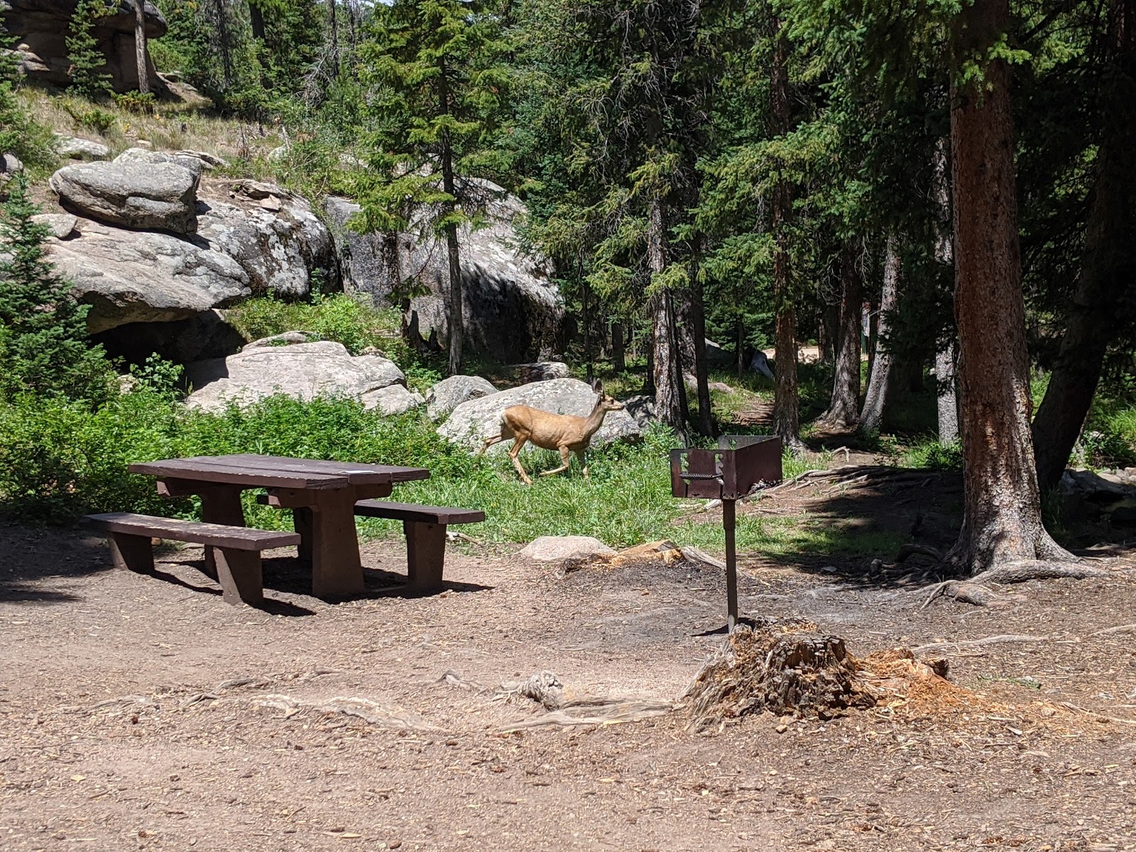 Campbell Creek Campground