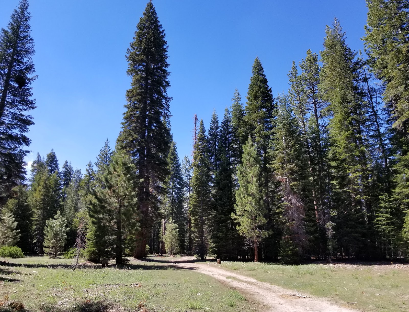 Peppermint Campground