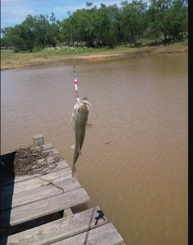 Windmill Crossing RV Park