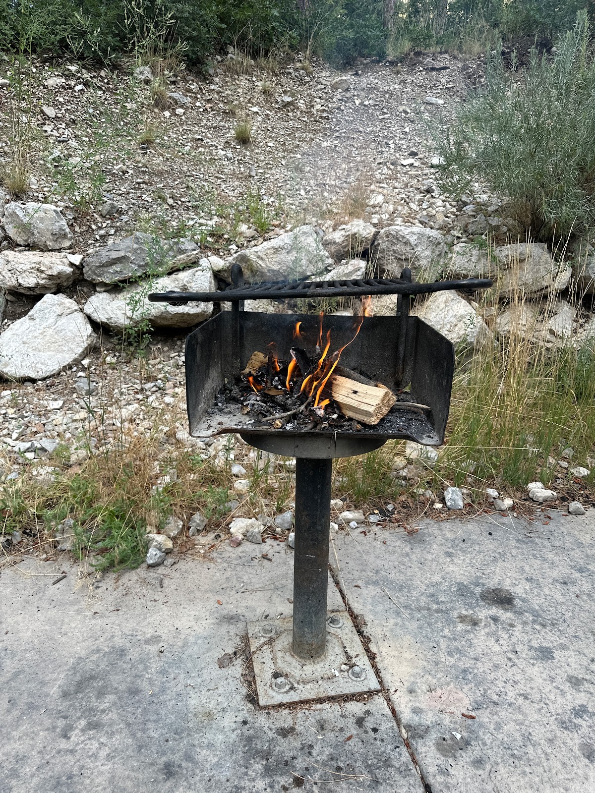 Kyle Canyon Picnic Area