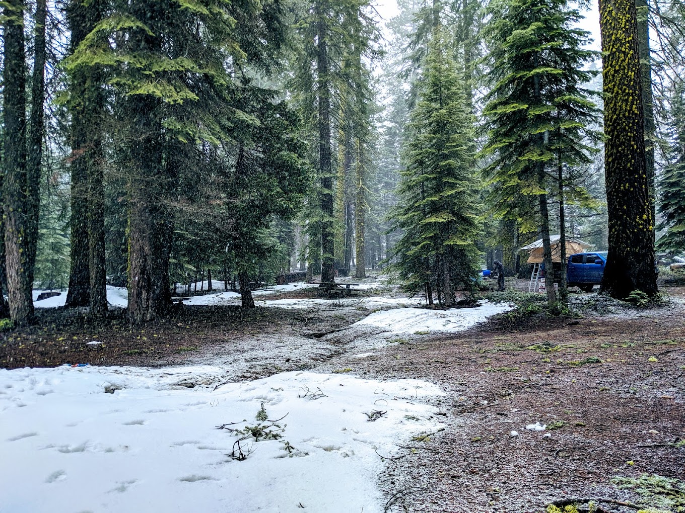 Fresno Dome Campground