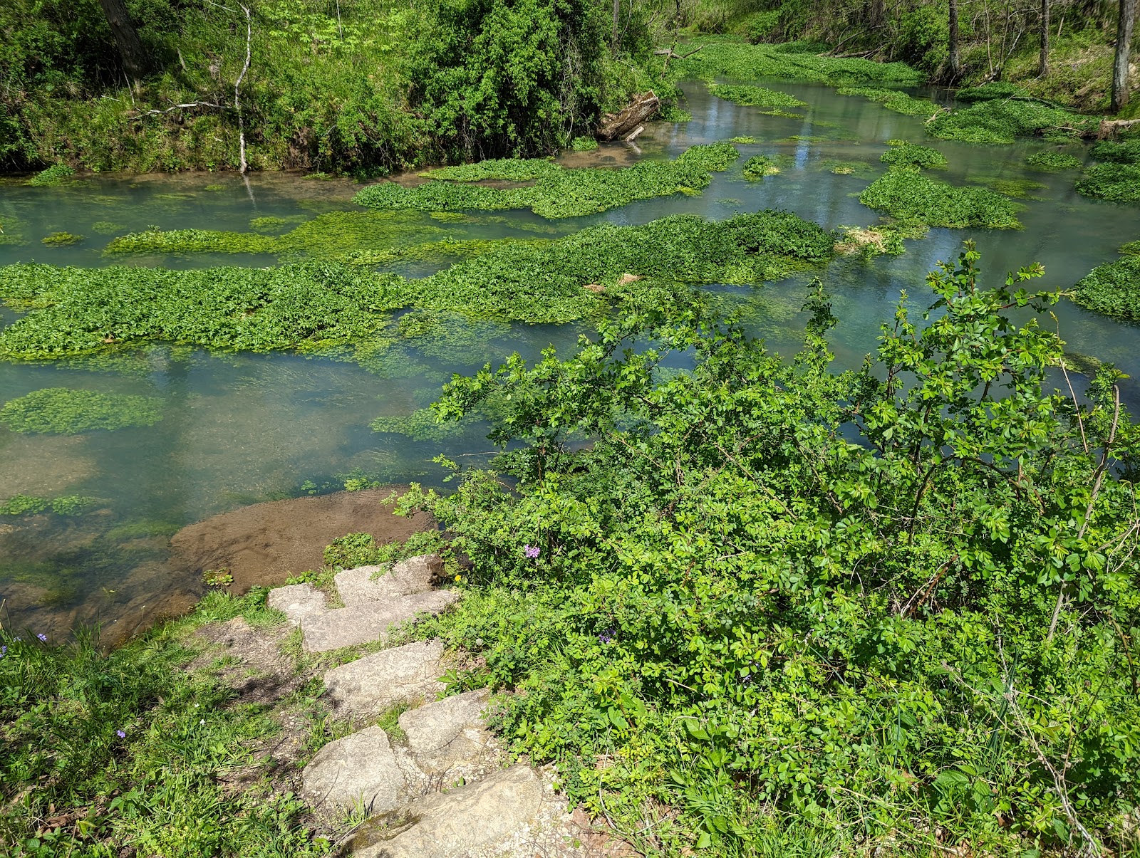 Lane Spring Campground