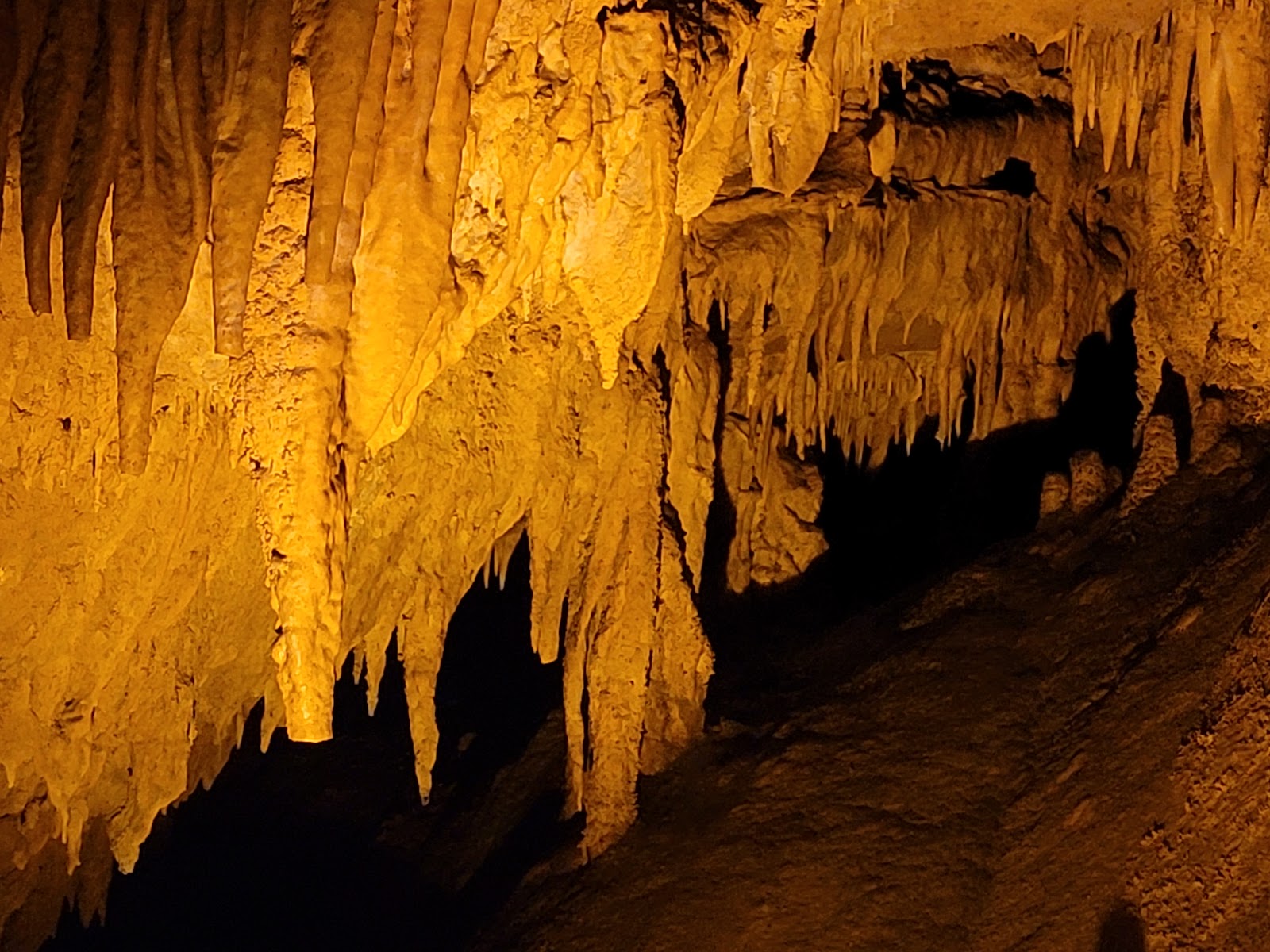 Mammoth Cave National Park