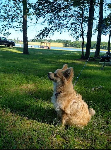 Little Meadows Campground