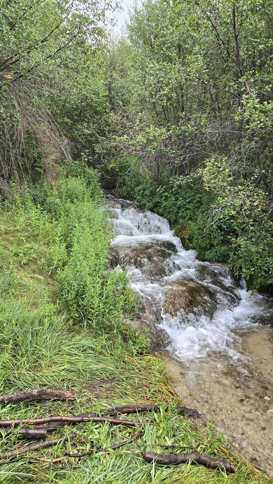 Bird Creek Recreation Area