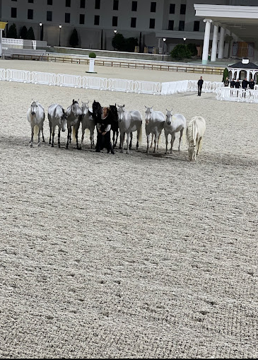 World Equestrian Center RV Park