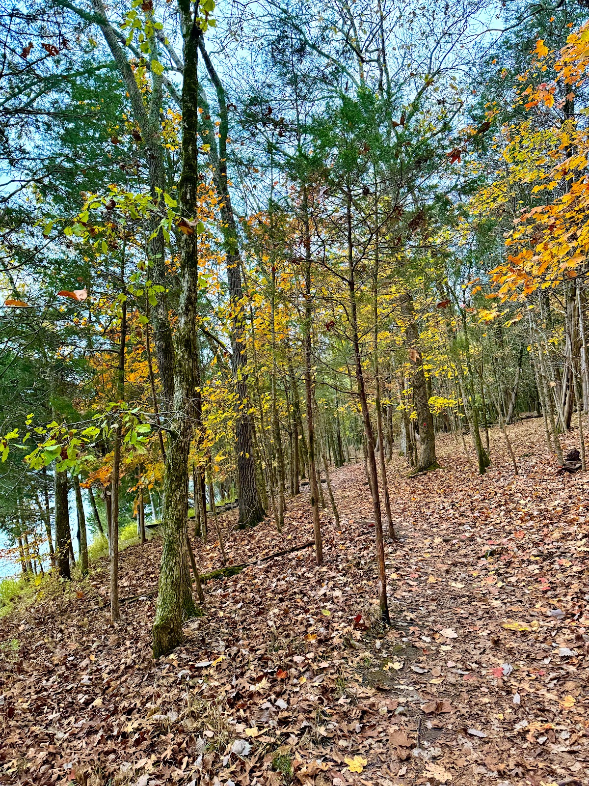 Bledsoe Creek State Park