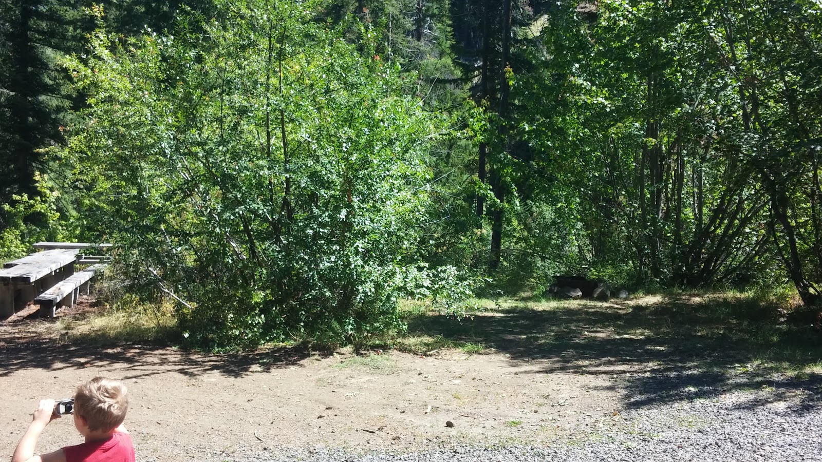 Pine Needle Group Campground
