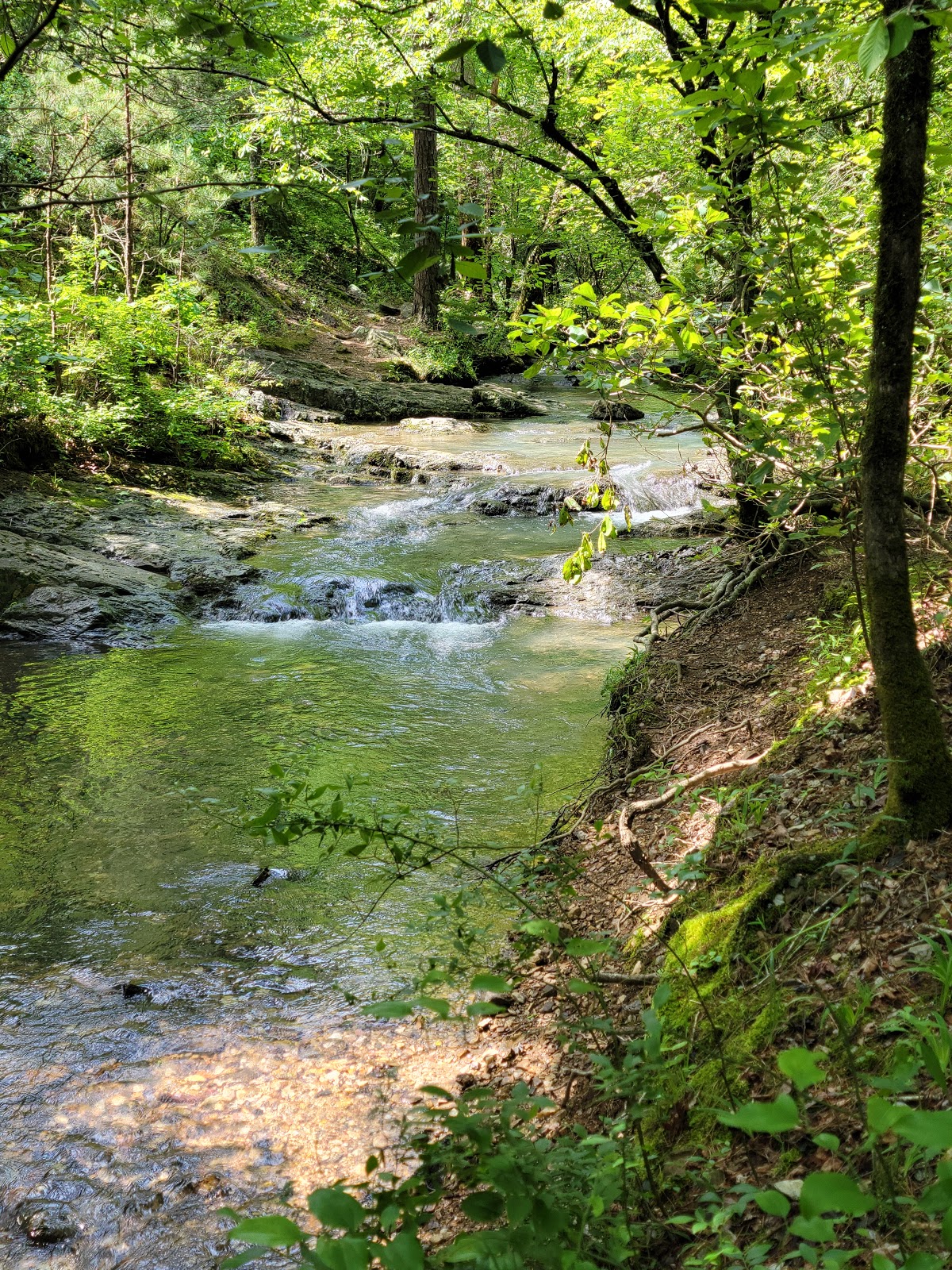 Lake Catherine Camp Ground
