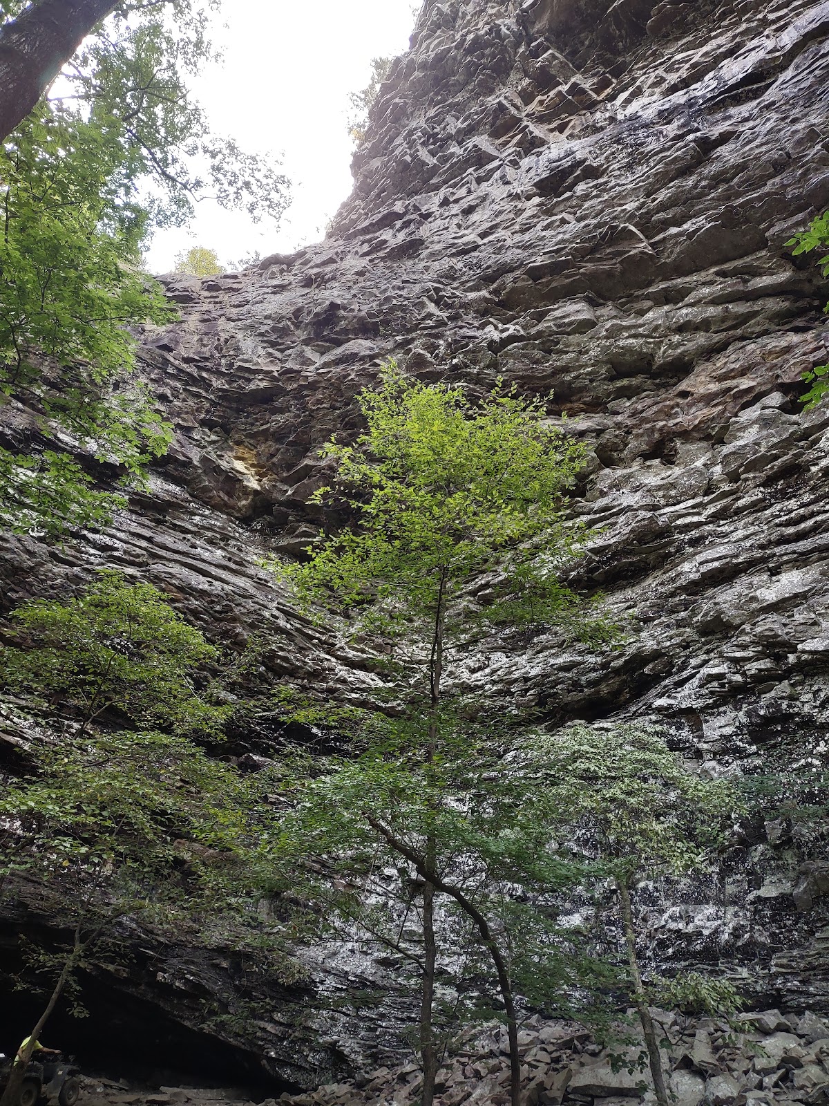Mount Magazine Horse Camp