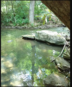 Yough Lake Campground