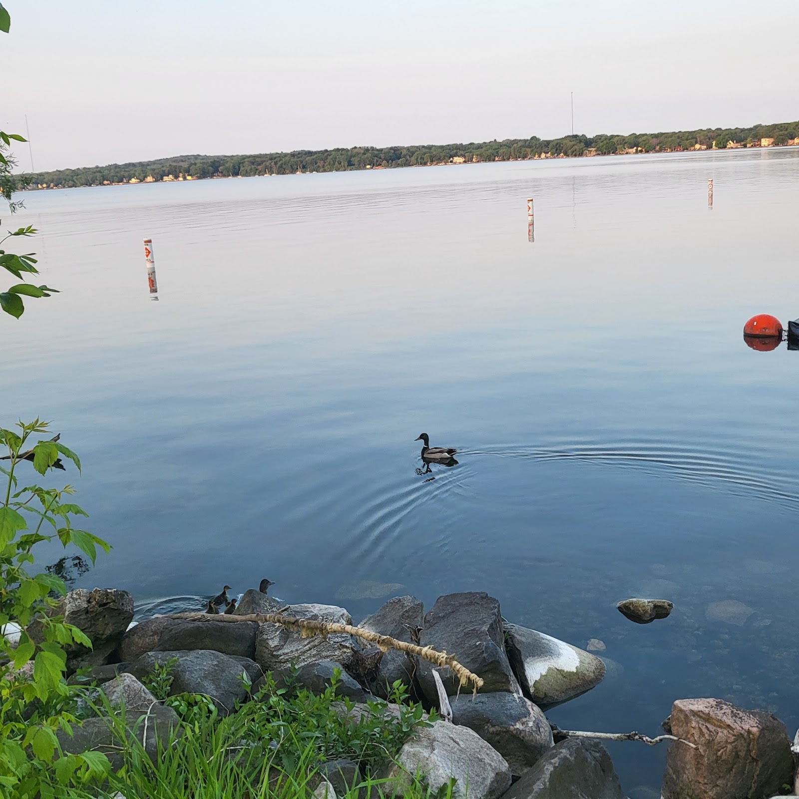 Mendota County Park Camping