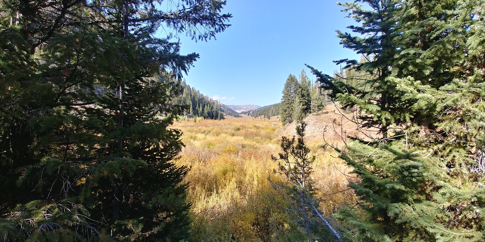 Lake Alice Campground