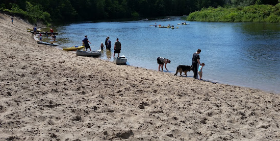 Huron-Manistee National Forests