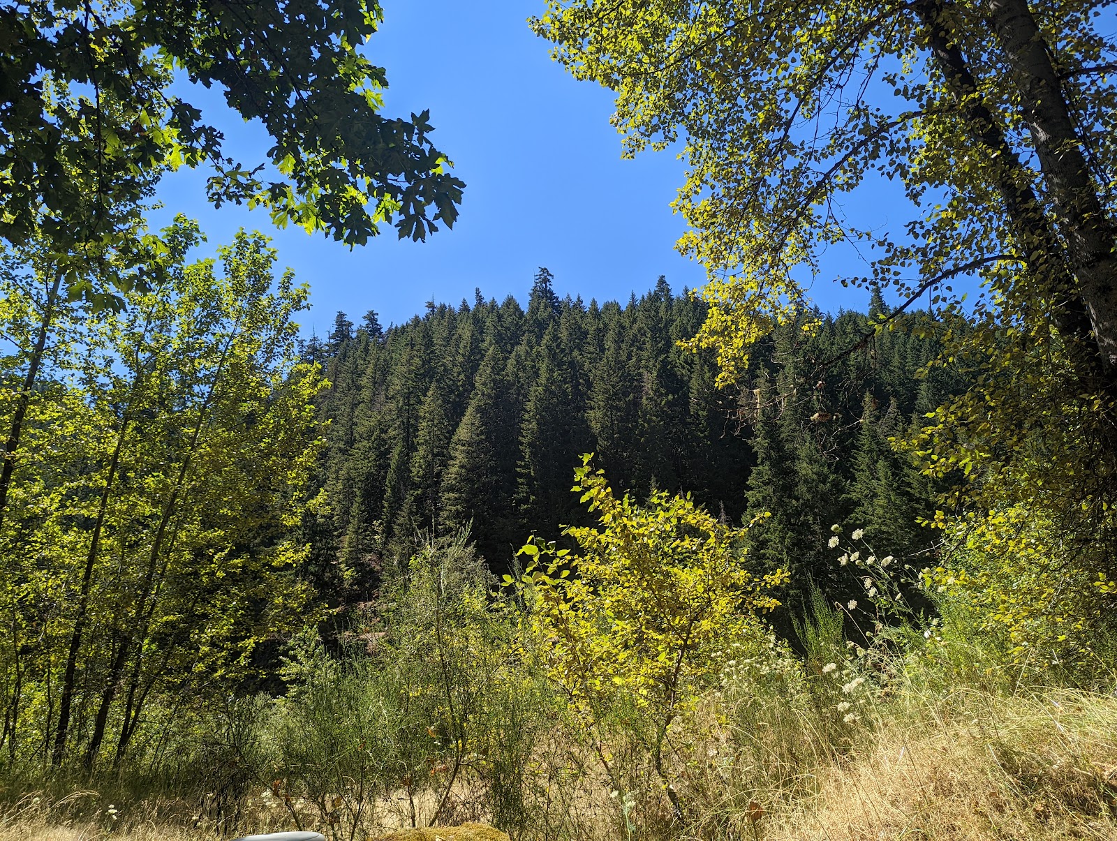 Cougar Crossing Campground