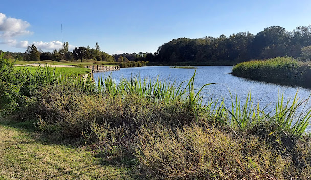 Kemper Williams Park